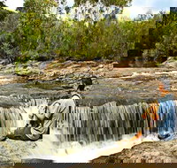 Kingfisher Pool campground - Accommodation Mooloolaba