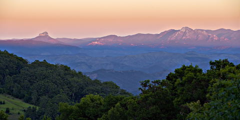 O'Reilly's Rainforest Retreat - Accommodation Mooloolaba 1