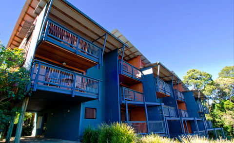 O'Reilly's Rainforest Retreat - Accommodation Mooloolaba 7