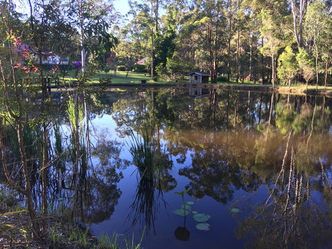 Telegraph Retreat Cottages - Accommodation Mooloolaba 8