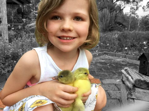 Telegraph Retreat Cottages - Accommodation Mooloolaba 9