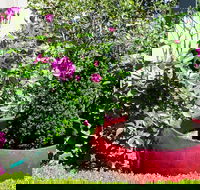 Armidale Pines Motel - Accommodation Mooloolaba