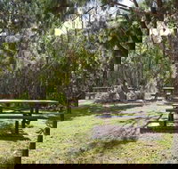 Illaroo group camping area - Accommodation Mooloolaba