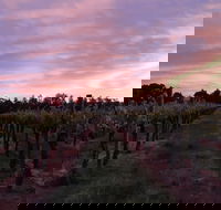 Milawa Vineyard Views - Accommodation Mooloolaba