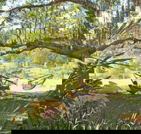 Nimbin Rox YHA - Accommodation Mooloolaba