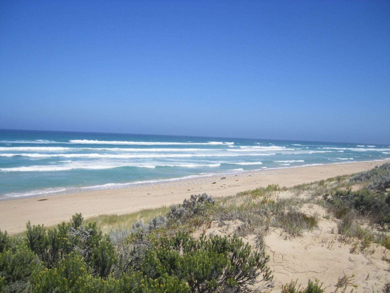 Canunda SA Accommodation Mooloolaba