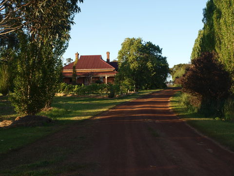 Pierrepoint Wines Bed & Breakfast - Accommodation Mooloolaba 4