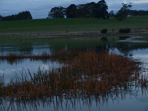 Pierrepoint Wines Bed & Breakfast - Accommodation Mooloolaba 8