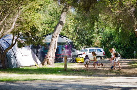 Rosebud Foreshore Camping - Accommodation Mooloolaba 2