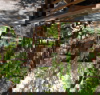 Melaleuca Surfside Backpackers - Accommodation Mooloolaba