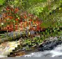 The Mouses House - Rainforest Retreat - Accommodation Mooloolaba