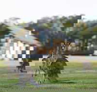 Yering Gorge Cottages - Accommodation Mooloolaba