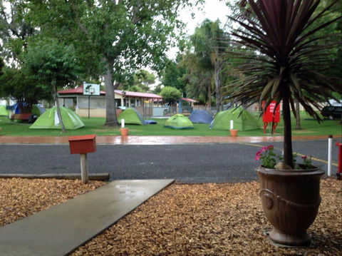 Young Caravan Tourist Park - Accommodation Mooloolaba 0