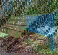 Brambles Green campground - Accommodation Mooloolaba