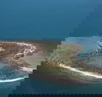 Camp Island Lodge - Accommodation Mooloolaba