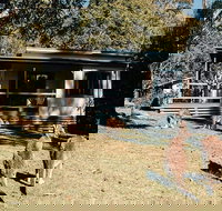 Depot Beach cabins - Accommodation Mooloolaba