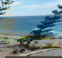 Dolphins 8 - Accommodation Mooloolaba