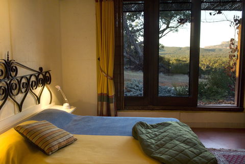 Kangaroos In The Top Paddock - Accommodation Mooloolaba 1