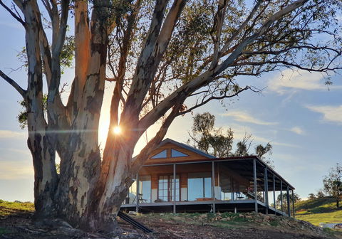 Kestrel Nest EcoHut - Accommodation Mooloolaba 0