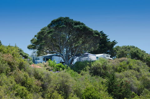 Sorrento Foreshore Camping - Accommodation Mooloolaba 2