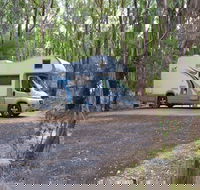 Wollomombi campground - Accommodation Mooloolaba