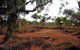 Karijini Eco Retreat - thumb 4