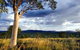 Karijini Eco Retreat - thumb 5