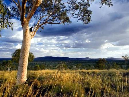 Karijini Eco Retreat - Accommodation Mooloolaba 5