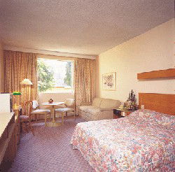 Country Comfort Armidale - Accommodation Mooloolaba 3