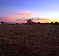 Wogarno Homestead - Accommodation Mooloolaba