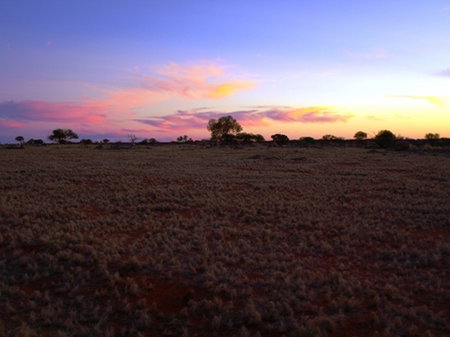 Wogarno Homestead - Accommodation Mooloolaba 0