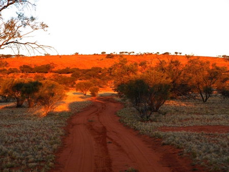 Wogarno Homestead - Accommodation Mooloolaba 1