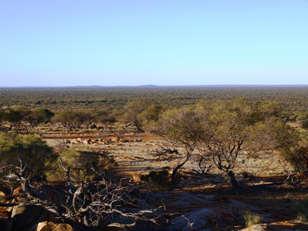 Wogarno Homestead - Accommodation Mooloolaba 2
