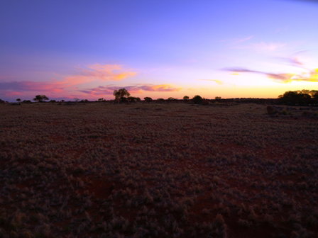 Wogarno Homestead - Accommodation Mooloolaba 4