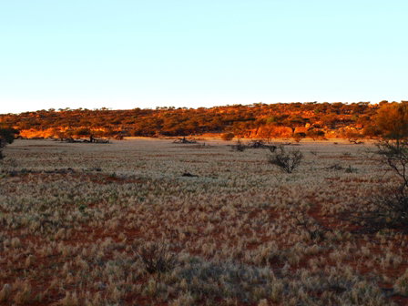 Wogarno Homestead - Accommodation Mooloolaba 5