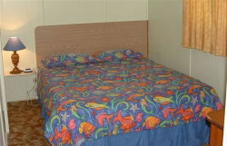 Sun Valley Tourist Park - Accommodation Mooloolaba 0