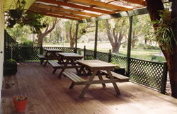 Sun Valley Tourist Park - Accommodation Mooloolaba 1
