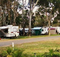 Buronga Riverside Tourist Park - Accommodation Mooloolaba