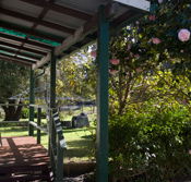 Bow River Cottage - Accommodation Mooloolaba