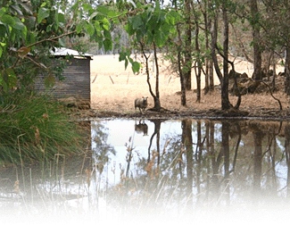 Cambray Cottages - Accommodation Mooloolaba 3