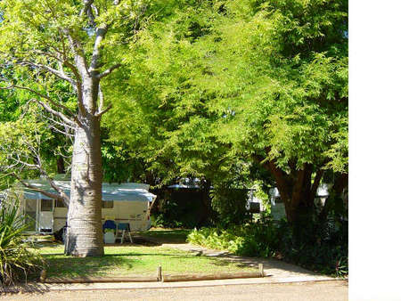 Town Caravan Park - Accommodation Mooloolaba 0