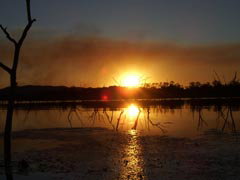 Town Caravan Park - Accommodation Mooloolaba 2