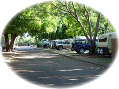 Town Caravan Park - Accommodation Mooloolaba 5
