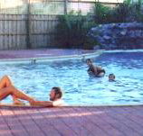 Shark Bay Caravan Park - Accommodation Mooloolaba
