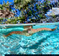 BIG4 Ballina Headlands Holiday Park - Accommodation Mooloolaba