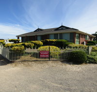 Blue Sea Dragon - Accommodation Mooloolaba