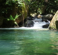 Daintree Secrets Rainforest Sanctuary - Accommodation Mooloolaba