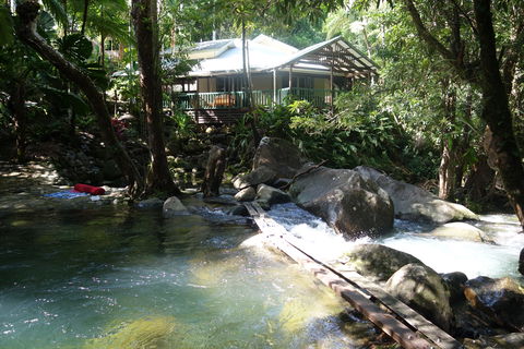 Daintree Secrets Rainforest Sanctuary - Accommodation Mooloolaba 2