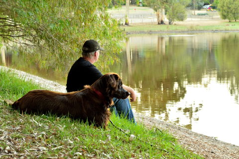 Diamond Forest Farm Stay - Accommodation Mooloolaba 2