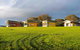 Lush Pastures Hosted BnB - thumb 0